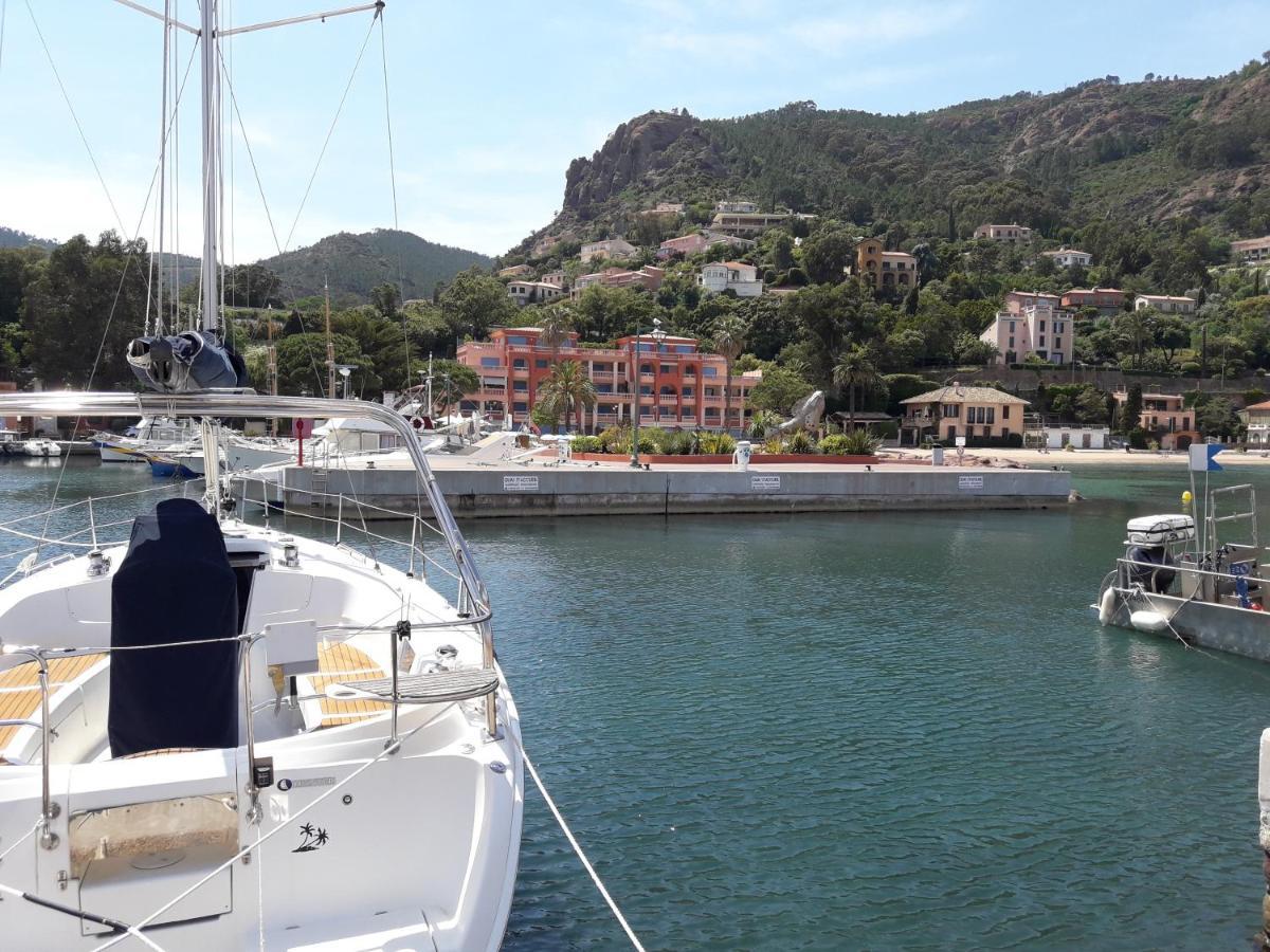 Apartment French Riviera 1 Bedroom On The Facing Cannes